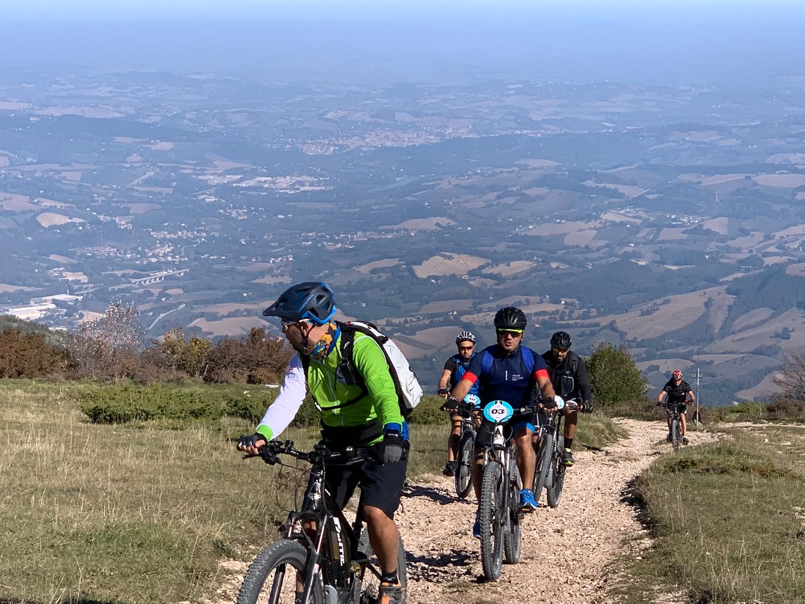 Italian Language tour in Marche Region