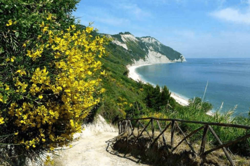 Spiaggia Mezzavalle ancona
