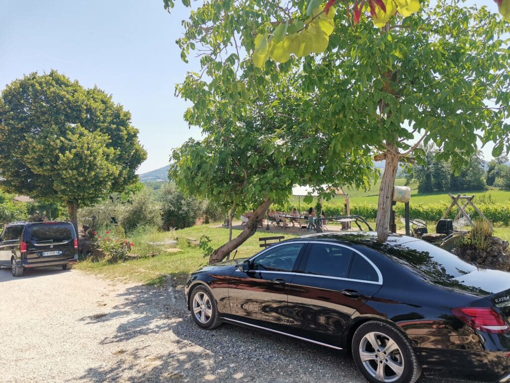viaggio Marche con autista privato