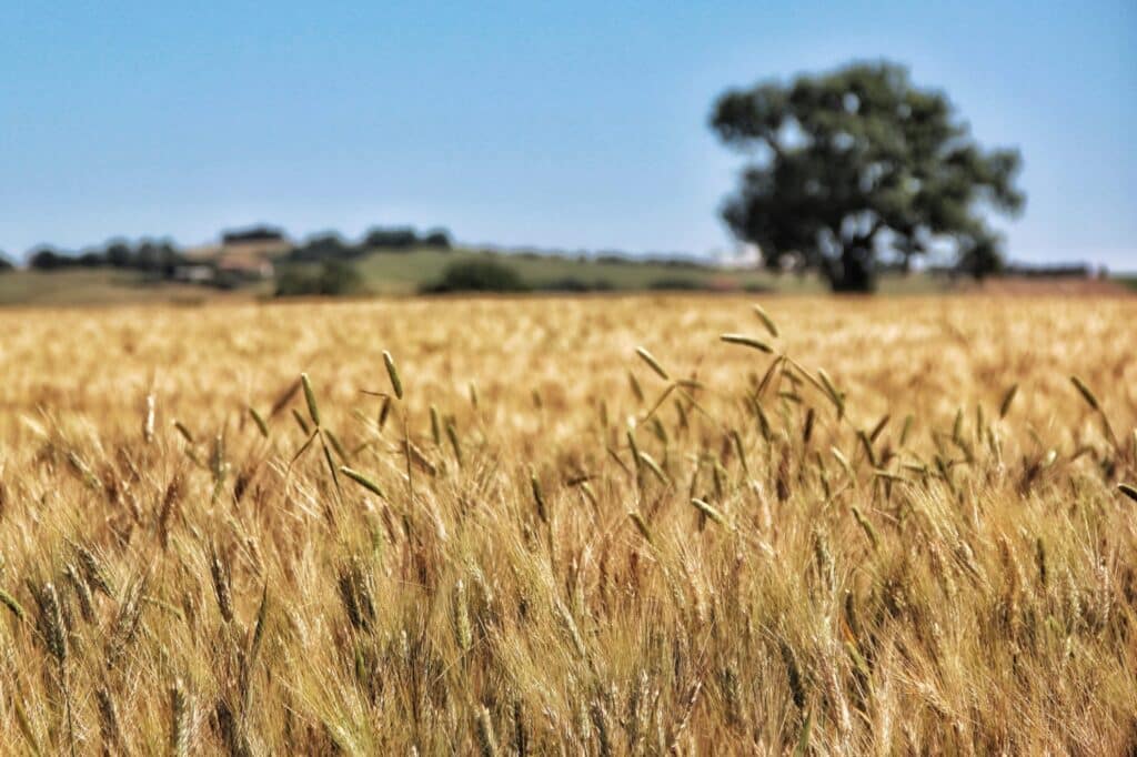 Le Marche Italy