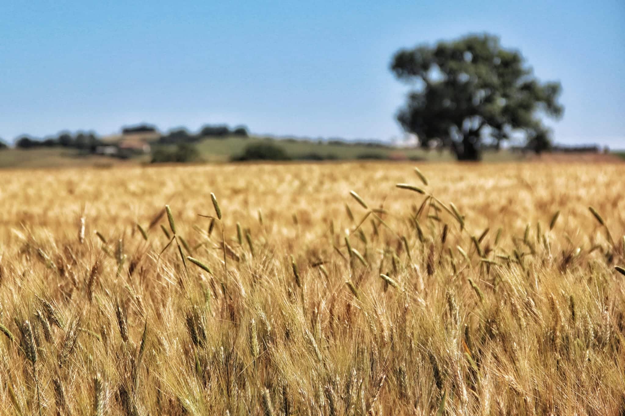 Le Marche Italy Travel Guide