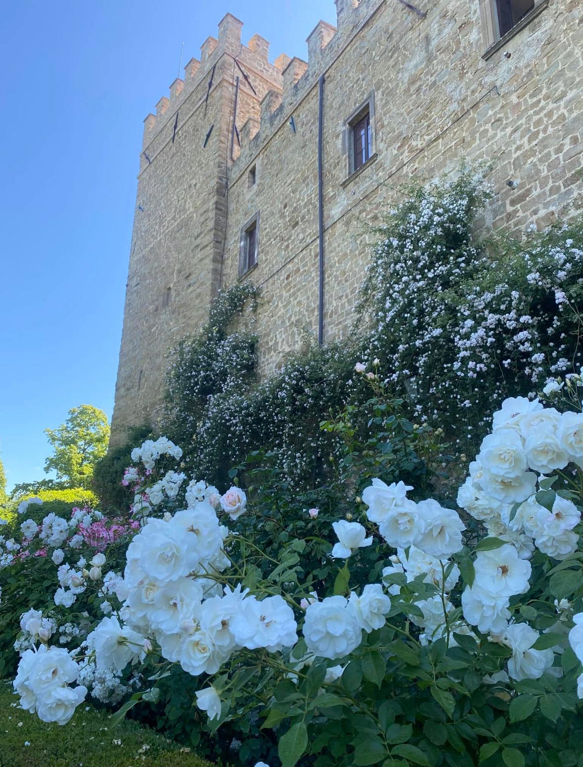 Rocca D'Ajello Roseto