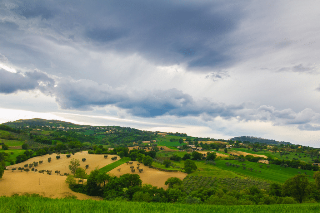 marche hills