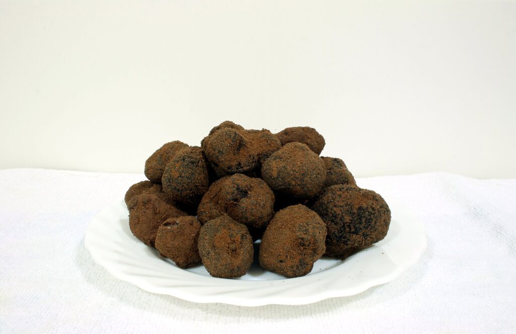 Black winter truffles (Tuber melanosporum)
Truffle Hunting in Italy