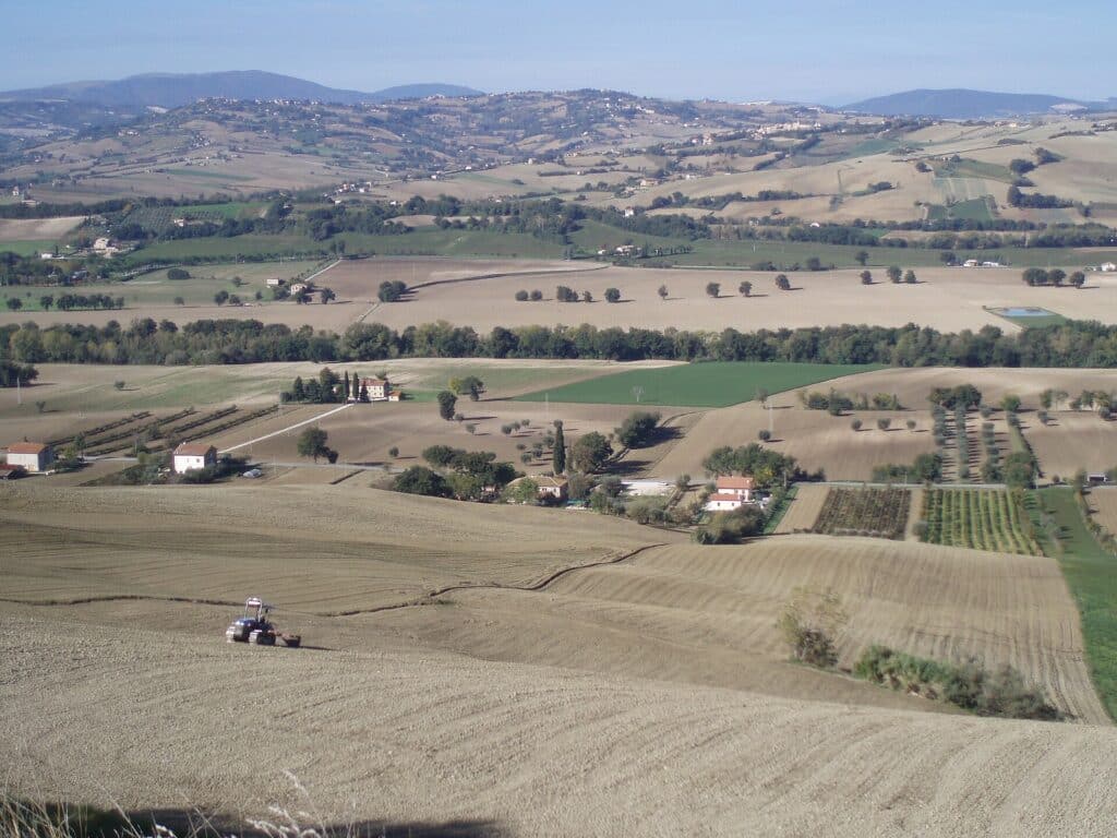 Rolling hills of the Marche countryside near Castelleone di Suasa private driver in italy
